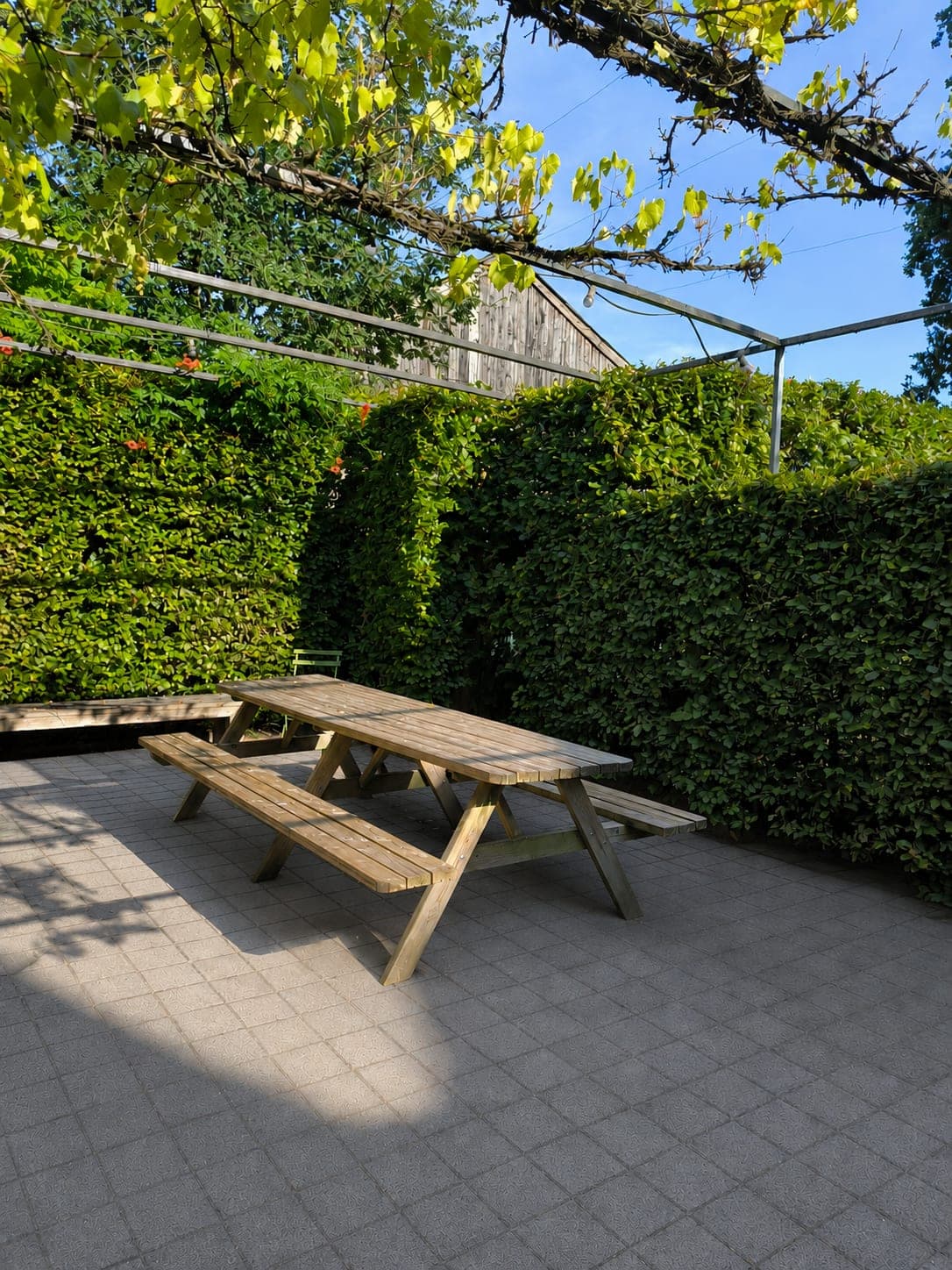 Het terras met picknicktafel onder de pergola